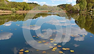 A typical spring May rural Lithuanian landscape is a cold lake  coast with  forest panorama