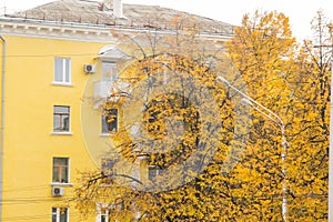 Typical stalin ampir style house in the fall, surrounded by trees with orange leaves, street lamps photo