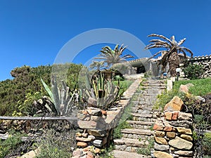 Typical stone staircase surrounded by spontaneous succulents leading to a seaside cottage in Sardinia, Italy