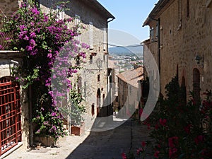 Typical street of Castiglione della Pescaia.