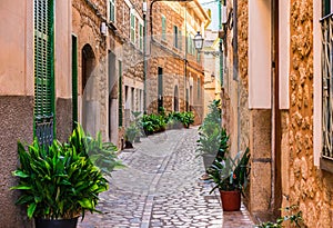 Beautiful street in old rustic village on Majorca island, Spain