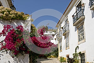 Typical street in Obidos, with flowers