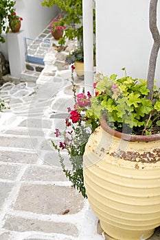 typical street scene with geraniums in pot stone streets with white paint Lefkes, Paros Greek Island, Cyclades, Greece photo