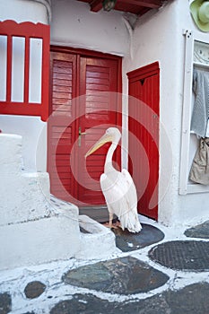 Typical street view on Mykonos