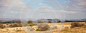 Typical Sub Saharan bushveld landscape