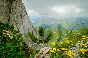 Typical summer mountains Switzerland landscape