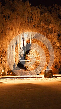 Typical swedish village in frosty night in the Arctic Circle in northern Sweden