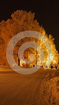 Typical swedish village in frosty night in the Arctic Circle in northern Sweden