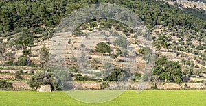 Typical terraces of Mallorca