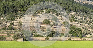 Typical terraces of Mallorca