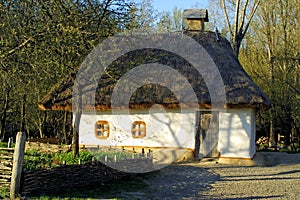 Typical thatched roof house