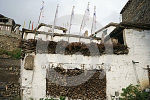 Typical  Tibetan architecture from Jharkot Mustang Nepal