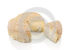 typical toma cheese  from langhe, italy photo