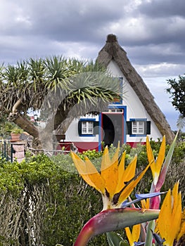 Typical, traditional, colorful houses in Madeira