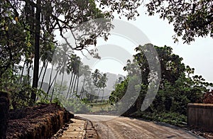 Typical Tranquil Rural Scene in Goa