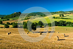 Typical tuscan country panorama near Massa Marittima GR, Italy photo