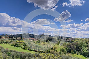 Typical Tuscan hilly landscape with rows of cypresses and olive trees seen from the Boboli Gardens in Florence, Italy.