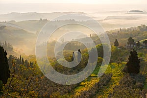 Typical Tuscan landscape