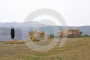 Typical tuscan landscape