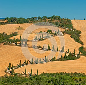 Typical tuscan landscape