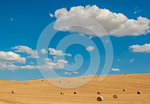 Typical tuscan landscape