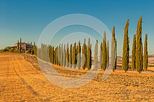 Typical tuscan landscape