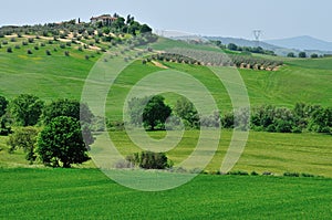 Typical Tuscan landscape