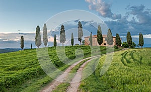 Typical tuscan landscape