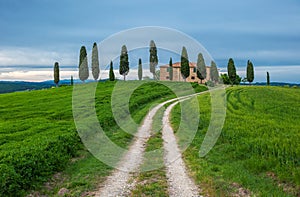 Typical tuscan landscape