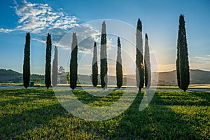 Typical tuscan landscape