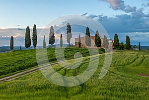 Typical tuscan landscape