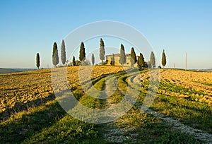 Typical tuscan landscape