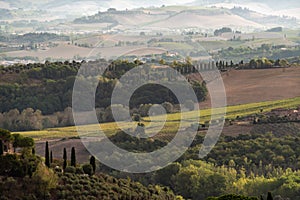 Typical Tuscan landscape with hills and cypresses in the very early morning near Montaione