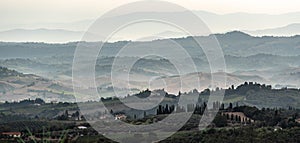 Typical Tuscan landscape with hills and cypresses in the very early morning near Montaione