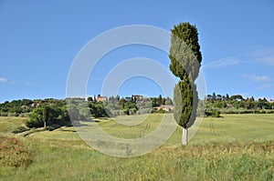 Typical Tuscan landscape. Italy