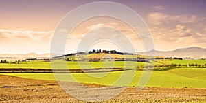 Typical tuscan landscape & x28;Italy - Pisa& x29; - toned image