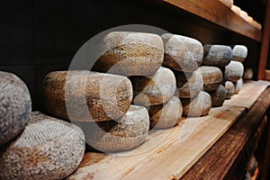 Typical tuscan pecorino cheese