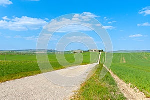 typical Tuscan rural scene long drive leading through fields to traditional style homestead