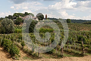 Typical Tuscan working farm