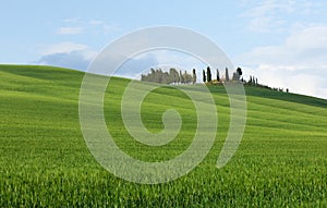 Typical Tuscany landscape