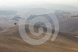 Typical Tuscany landscape in autumn