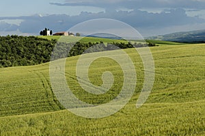 Typical Tuscany landscape, Italy, Europe