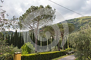 Typical Tuscany landscape, Italy with hills, green trees and clouds on background