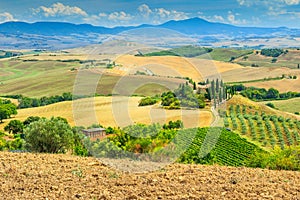 Typical Tuscany landscape,San Quirico d'Orcia,Italy,Europe