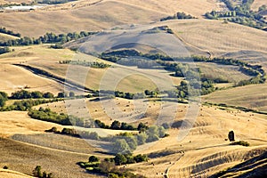 Typical Tuscany landscape in summer, Italy
