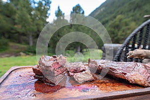 Typical Uruguayan and Argentine Asado Cooked on fire. Entrana and Vacio meat cuts. Accompanied with Chorizo photo