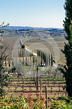Typical Valpolicella landscape