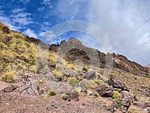 Typical vegetation at high altitude in the High Atlas Mountains on the Djebel Toubkal trek, Morocco.