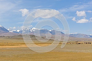 Typical view of Mongolian landscape. Mongolian Altai, Mongolia