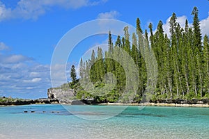 Typical view of Natural Pool with ascending green pine trees & turquoise water in Ile des Pins island, New Caledonia